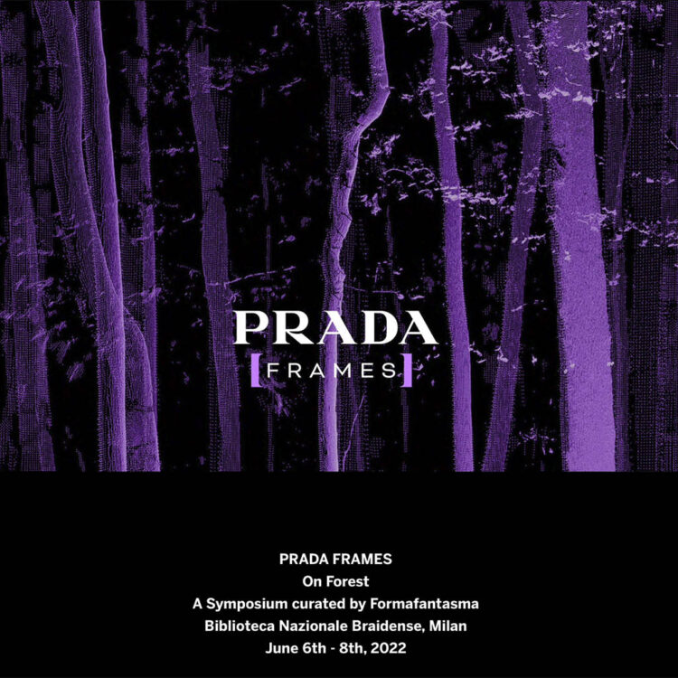 Prada Frames: On Forest