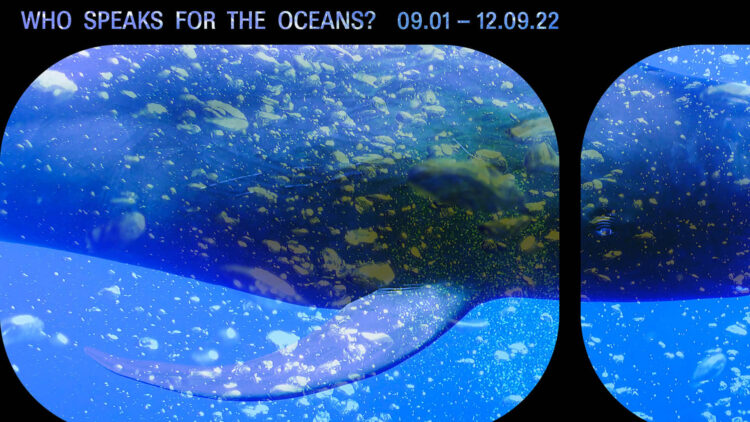 Who Speaks for the Oceans?