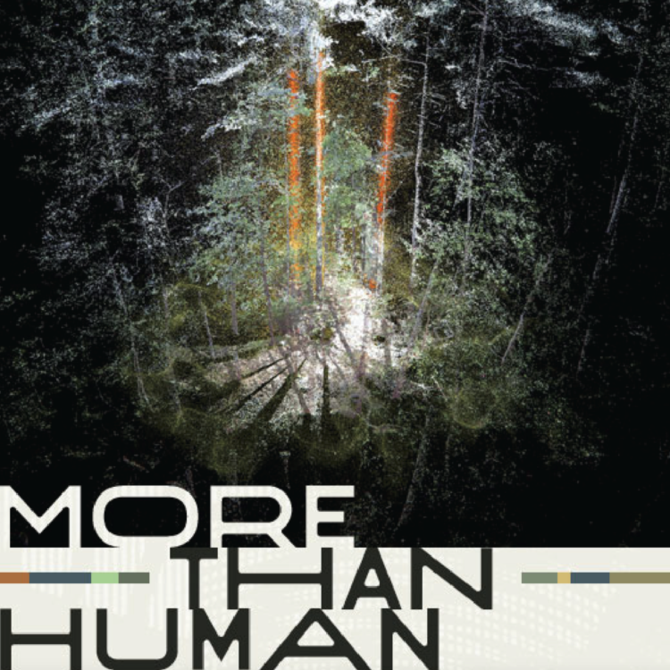 More than Human