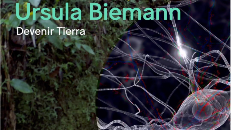 Ursula Biemann Becoming Earth