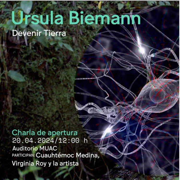 Ursula Biemann Becoming Earth